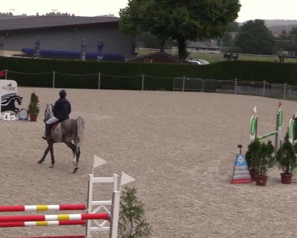 Reitturnier Fehraltorf 2025