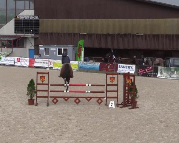 Reitturnier Fehraltorf 2025