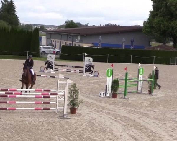 Reitturnier Fehraltorf 2025