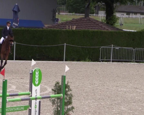 Reitturnier Fehraltorf 2025