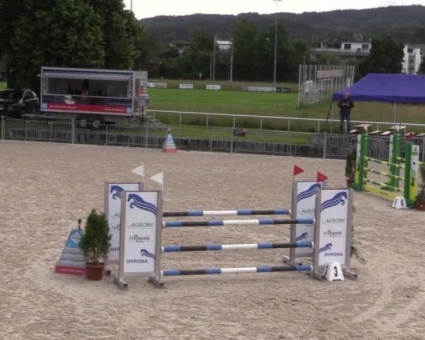 Reitturnier Fehraltorf 2025