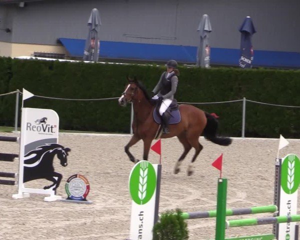 Reitturnier Fehraltorf 2025