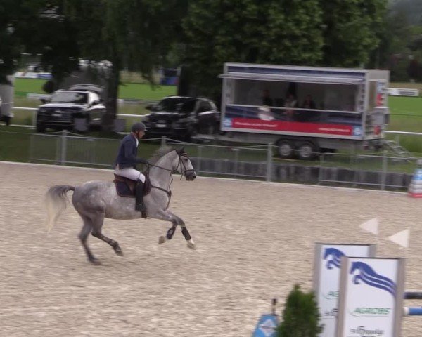Reitturnier Fehraltorf 2025