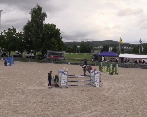 Reitturnier Fehraltorf 2025