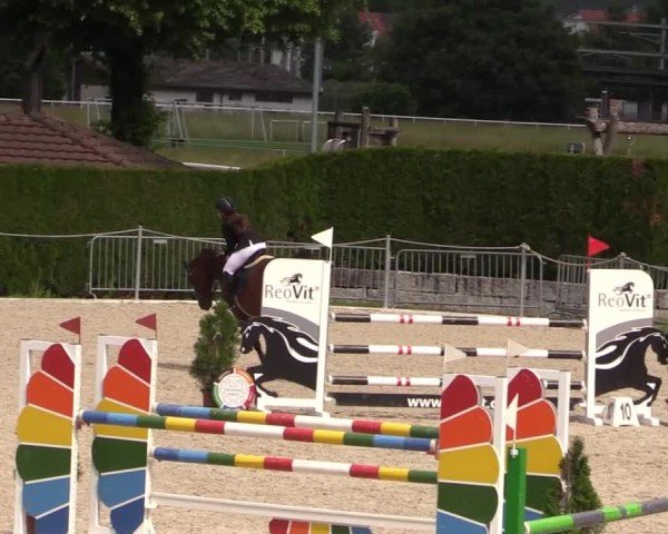Reitturnier Fehraltorf 2025