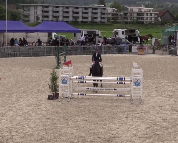 Reitturnier Fehraltorf 2025