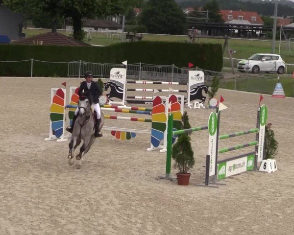 Reitturnier Fehraltorf 2025