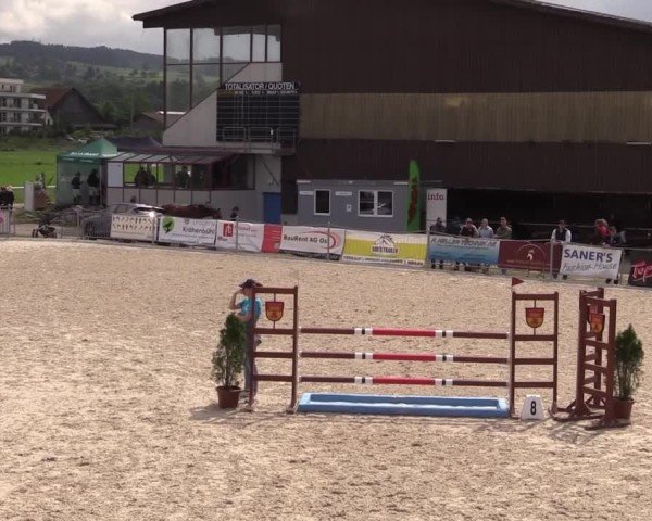 Reitturnier Fehraltorf 2025