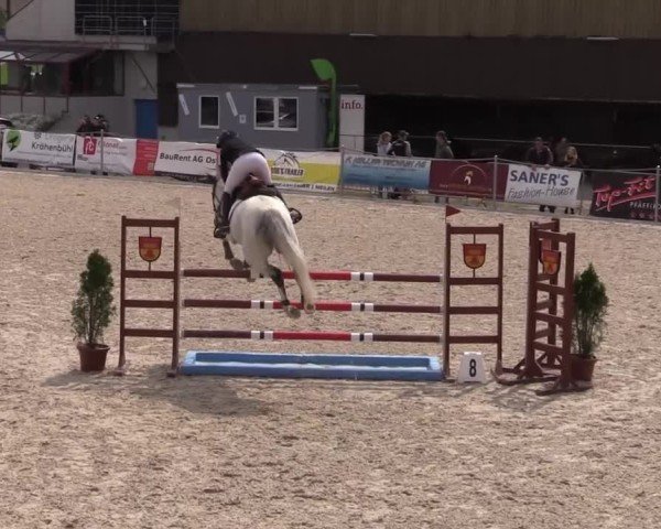 Reitturnier Fehraltorf 2025