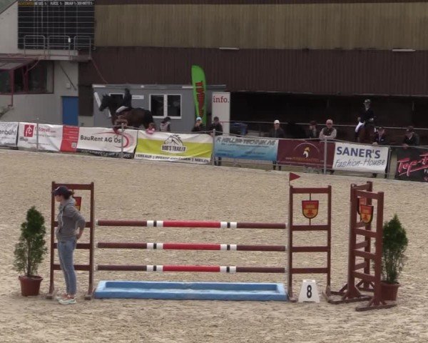 Reitturnier Fehraltorf 2025