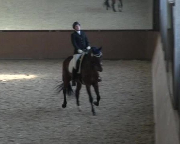 Bonn - Gut Ettenhausen 2014