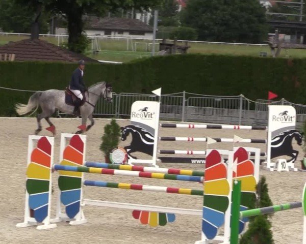 Reitturnier Fehraltorf 2025