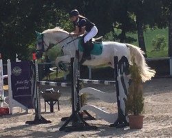 broodmare Quite Quitte (Oldenburg, 2004, from Quite Capitol)