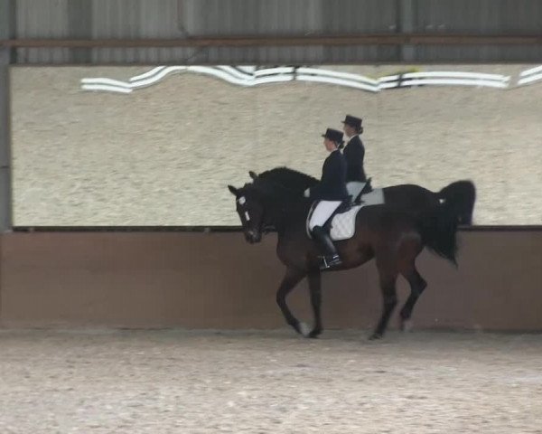 Bonn - Gut Ettenhausen 2014