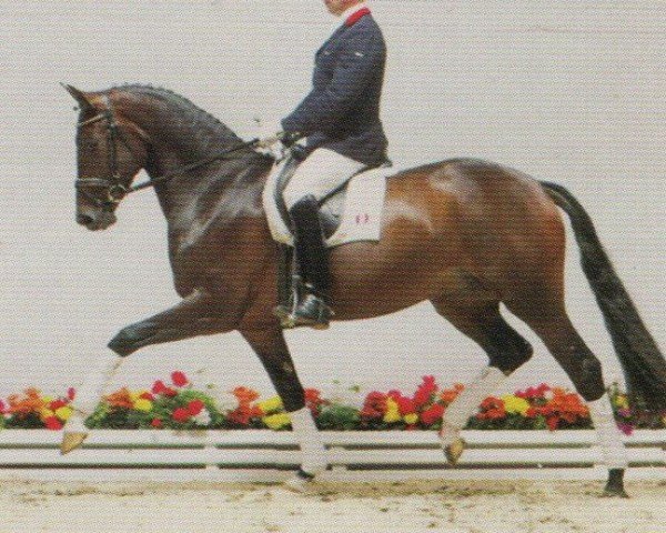 horse Die Queen (Oldenburg, 1999, from Don Gregory)