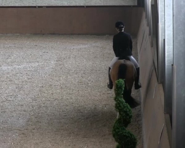 Bonn - Gut Ettenhausen 2014