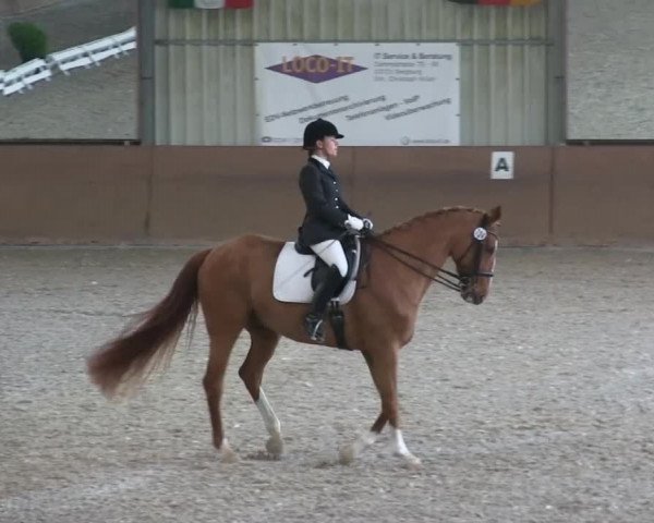 Bonn - Gut Ettenhausen 2014