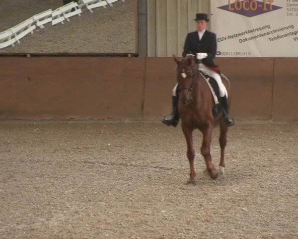 Bonn - Gut Ettenhausen 2014