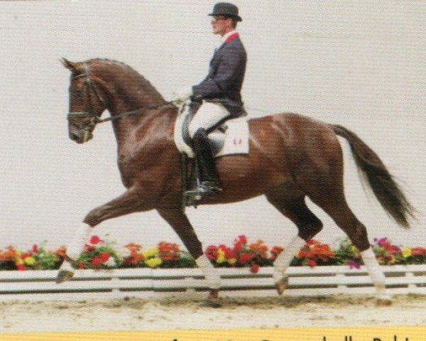 horse Dance of Romance (Oldenburg, 1999, from Donnerhall)