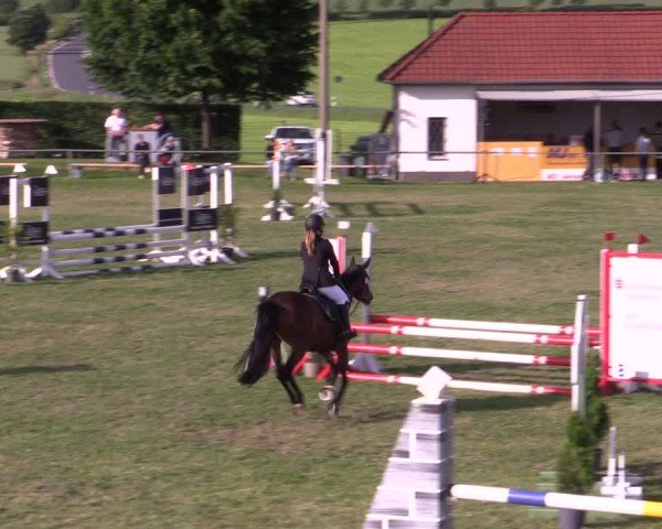 Reitturnier Wingerode 2025