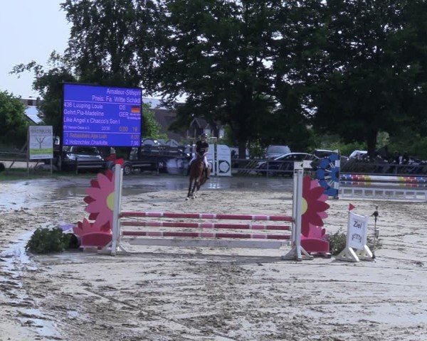 Reitturnier Letmathe 2025