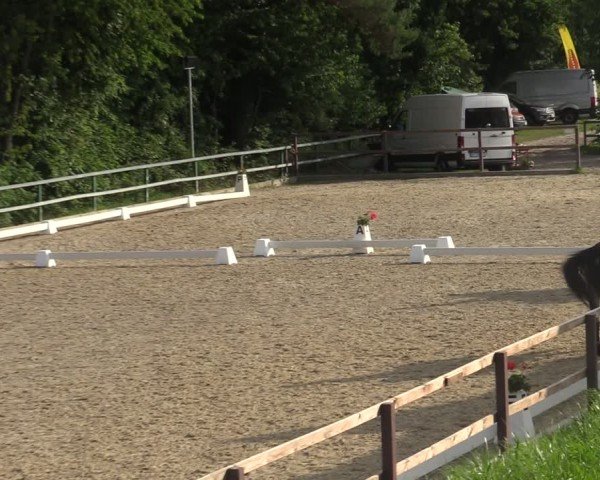 Reitturnier Letmathe 2025