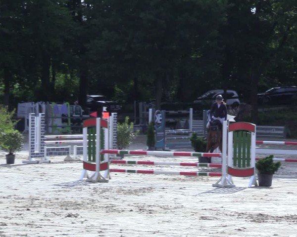 Reitturnier Letmathe 2025