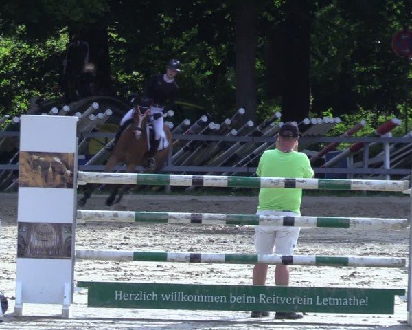 Reitturnier Letmathe 2025