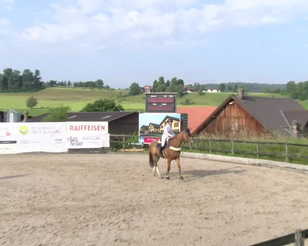 Reitturnier Ruswil 2025