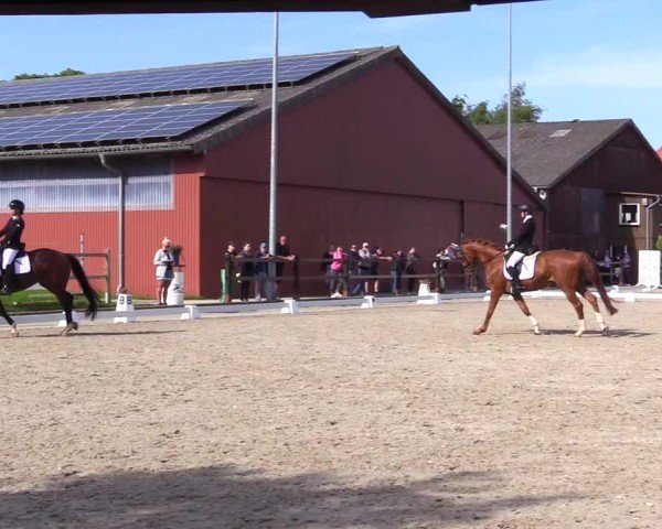 Reitturnier Sörup Dressurturnier 2025
