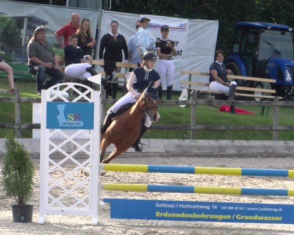 Reitturnier Ruswil 2025