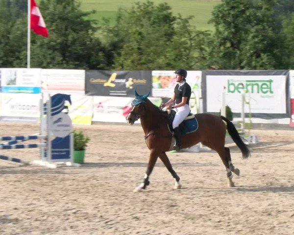 Reitturnier Ruswil 2025