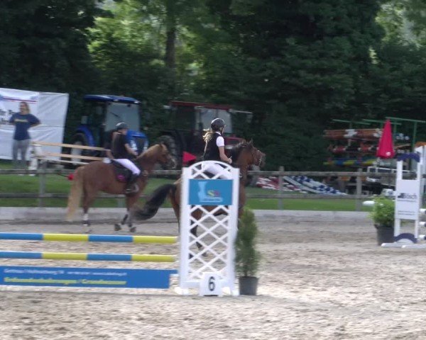 Reitturnier Ruswil 2025