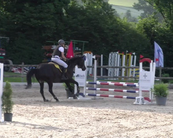 Reitturnier Ruswil 2025