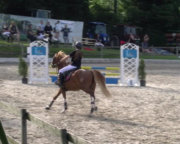 Reitturnier Ruswil 2025