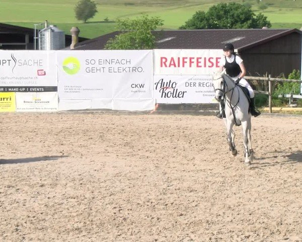 Reitturnier Ruswil 2025