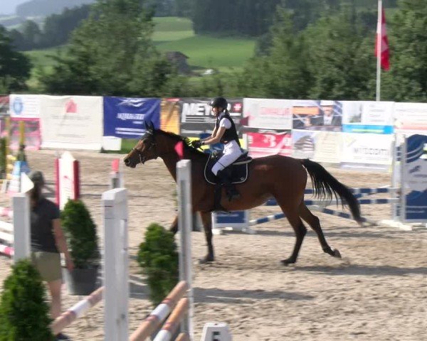 Reitturnier Ruswil 2025