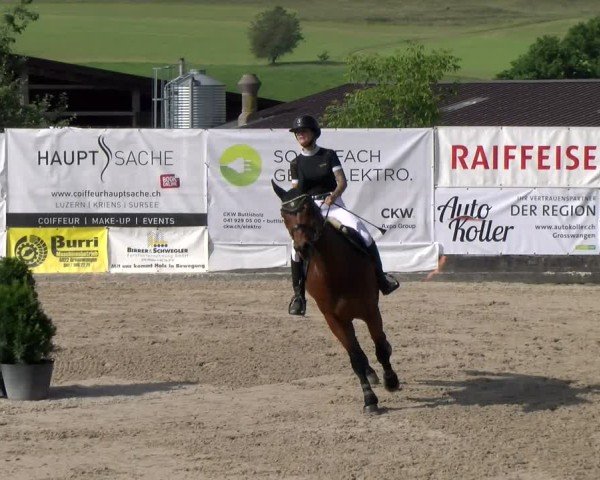Reitturnier Ruswil 2025