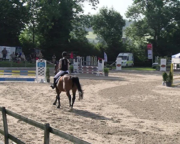 Reitturnier Ruswil 2025