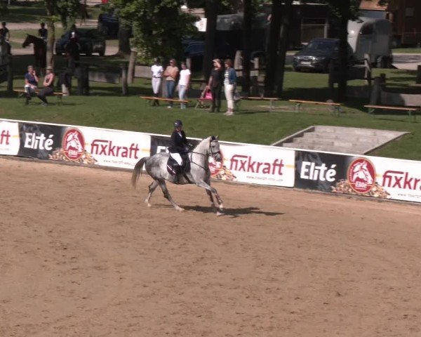 Reitturnier Stadl-Paura 2025
