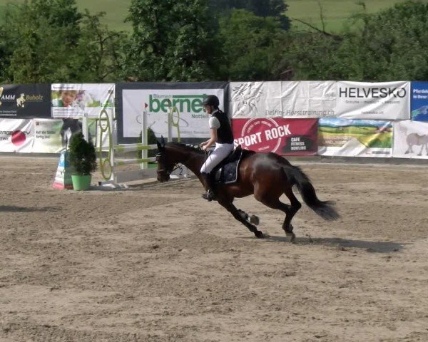 Reitturnier Ruswil 2025