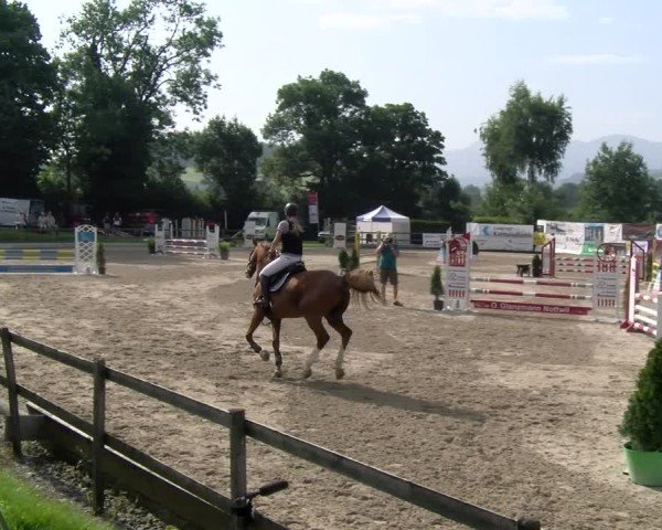 Reitturnier Ruswil 2025