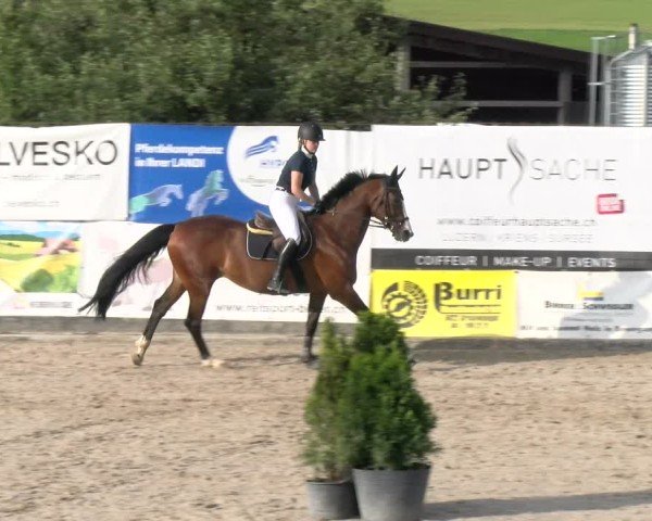 Reitturnier Ruswil 2025