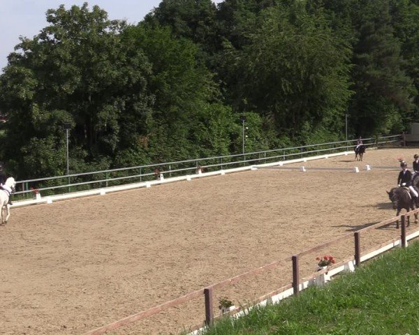 Reitturnier Letmathe 2025