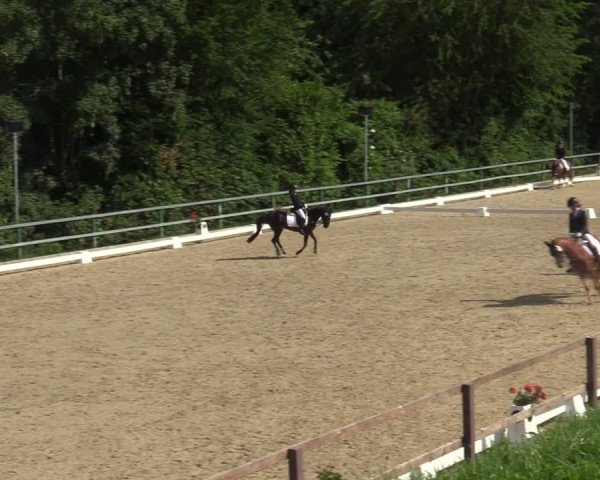 Reitturnier Letmathe 2025