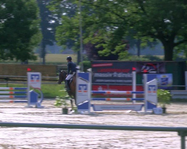 Reitturnier Coesfeld/Lette 2025