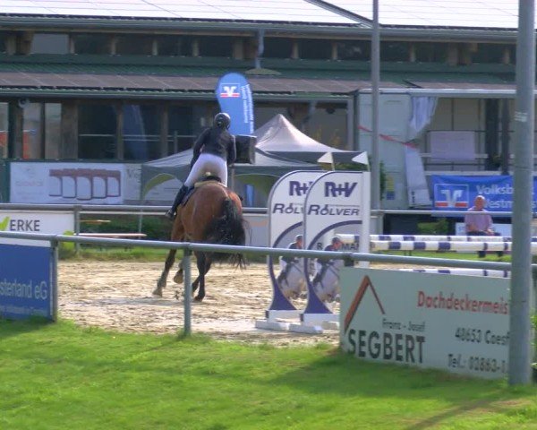 Reitturnier Coesfeld/Lette 2025
