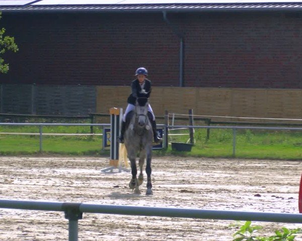 Reitturnier Coesfeld/Lette 2025