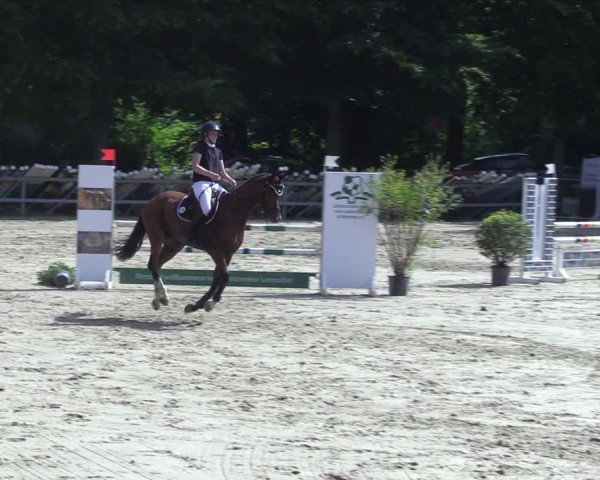 Reitturnier Letmathe 2025