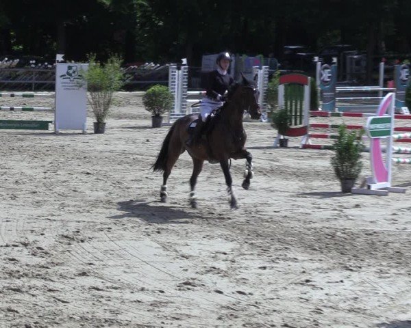 Reitturnier Letmathe 2025